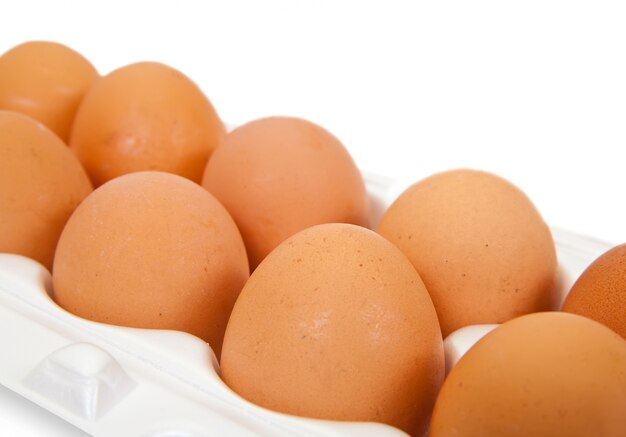 Behälter mit Eiern