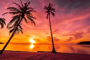 Kostenloses Foto bei sonnenuntergang am tropischen strand und meer mit kokospalme