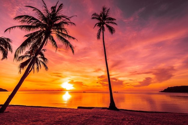 Bei Sonnenuntergang am tropischen Strand und Meer mit Kokospalme