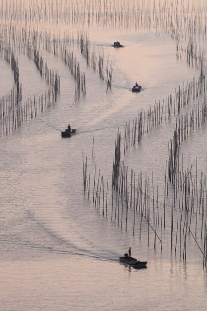 Beibootboote, die auf dem Fluss mit Schilf, Sonnenuntergangslicht segeln