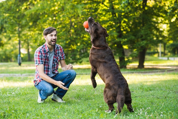 Kostenloses Foto bemannen sie das betrachten seines hundes, der ball im mund hält