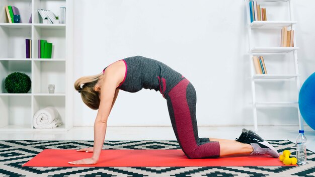 Übendes Yoga der jungen Frau, das asana tut, passte mit Katzenhaltung zusammen