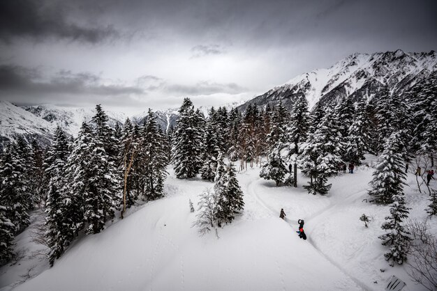 Berg bedeckt mit Kiefern und Schnee unter einem bewölkten Himmel