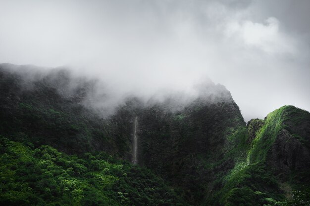 Berg mit Nebel bedeckt