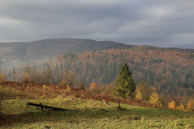 Kostenloses Foto berg mit nebel