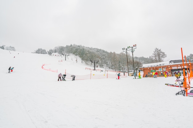 Bergbaum verschlossenen Frostweiß