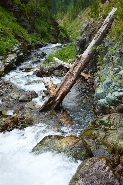 Kostenloses Foto berge landschaft mit strom