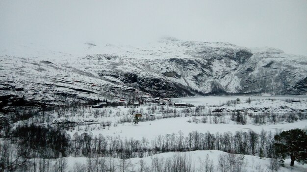 Berge und Bäume im Winter mit Schnee bedeckt