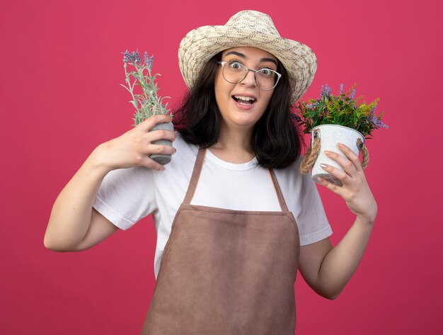 Überraschte junge brünette Gärtnerin in optischen Gläsern und in Uniform, die Gartenhut hält, der Blumentöpfe hält, die auf rosa Wand mit Kopienraum lokalisiert werden