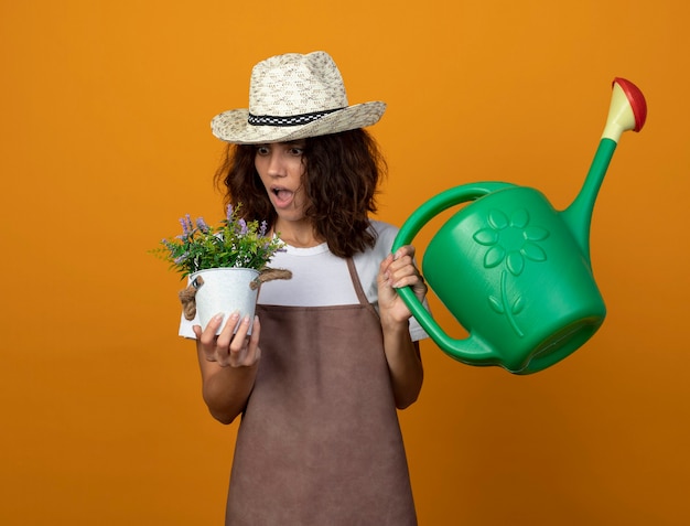 Überraschte junge Gärtnerin in Uniform mit Gartenhut, die Gießkanne hält und Blume im Blumentopf lokalisiert auf Orange betrachtet