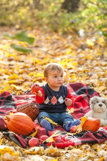 Überraschtes Baby mit Teddybären betreffen eine Decke