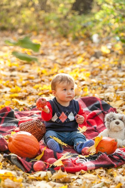 Überraschtes Baby mit Teddybären betreffen eine Decke