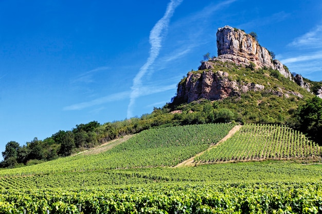 Berühmter Solutre Rock mit Weinbergen, Burgund, Frankreich