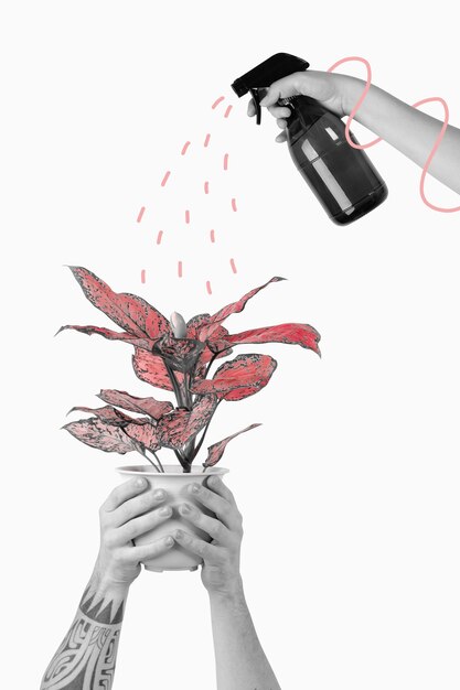 Beschlagen einer Zimmerpflanze Remix-Illustrationsgrafik