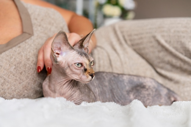 Kostenloses Foto besitzer und katze im bett hautnah