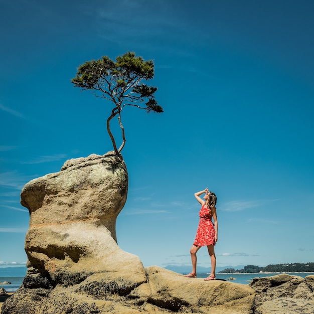 Betrachtung. Frau in der Natur, die einen kleinen Baum betrachtet