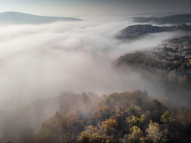 bewaldete Hügel, umgeben von Nebel unter einem bewölkten Himmel