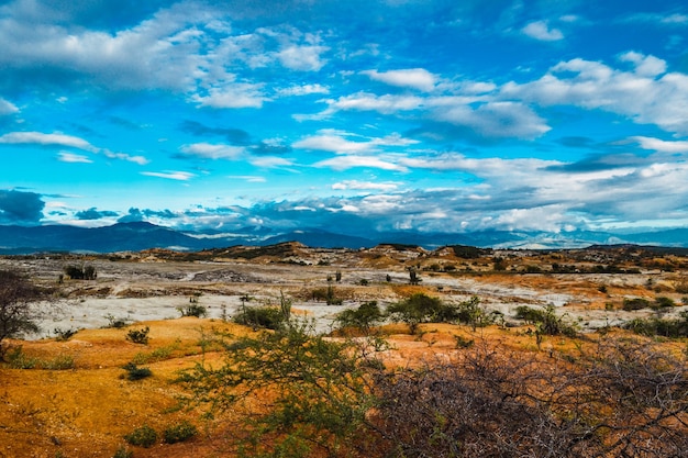 Kostenloses Foto bewölkter himmel über dem tal mit wilden pflanzen in der tatacoa-wüste, kolumbien