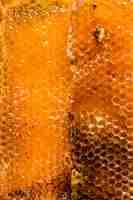 Kostenloses Foto bienenwabe detail