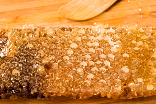 Bienenwabe Detail