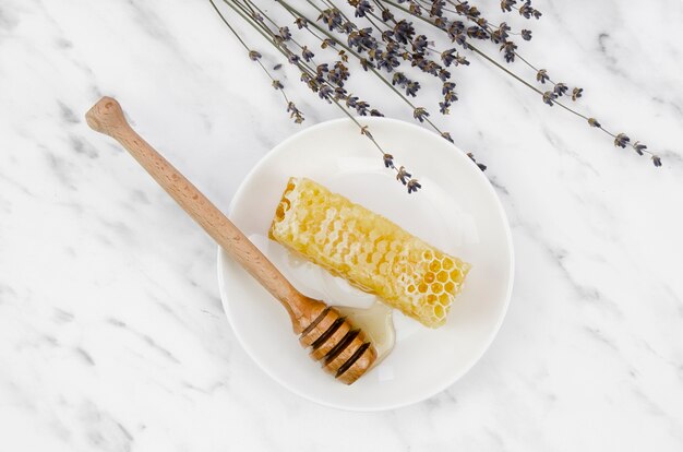 Bienenwabe mit Lavendel und Schöpflöffel auf Platte