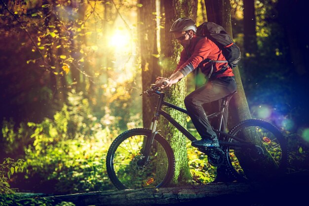 Bilder Mountainbike Gratis Vektoren Fotos Und Psds