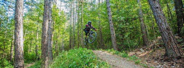 Bild eines Radfahrers, umgeben von Laubbäumen im Wald