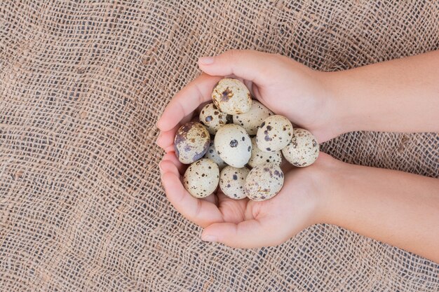 Bio-Eier in den Händen eines Mannes