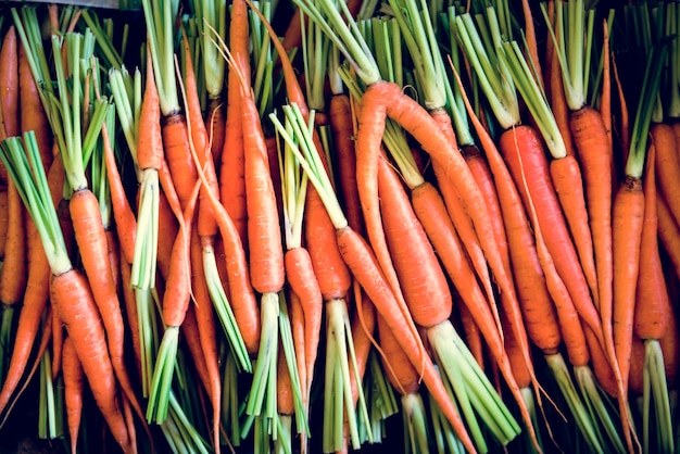 Bio-Karotte natürliche Lebensmittel Frische