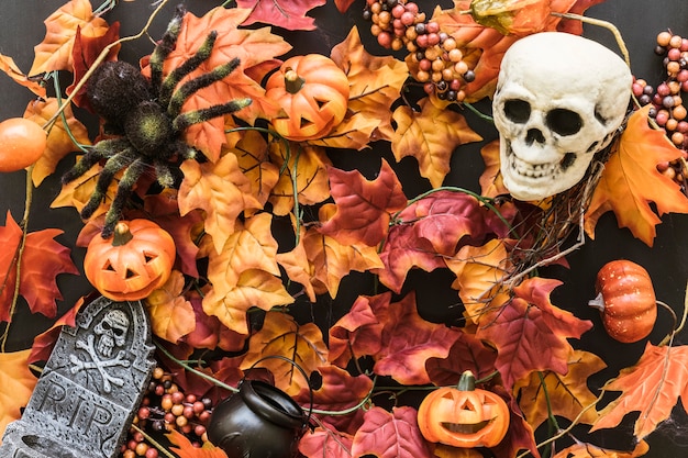 Kostenloses Foto blätter komposition für halloween