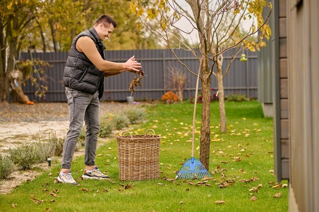 Blätter, Korb. Lächelnder junger erwachsener Mann, der seitlich zur Kamera steht und Blätter im Weidenkorb auf grünem Rasen im Garten am Herbsttag besprüht