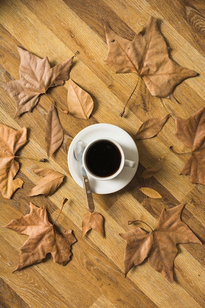Blätter liegen um Kaffee