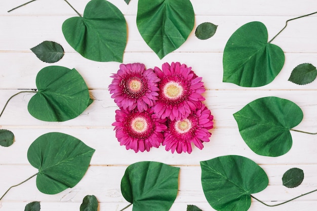 Kostenloses Foto blätter und blumen zusammensetzung