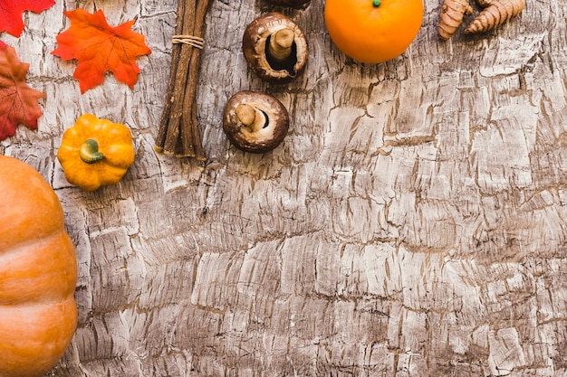 Blätter und Stöcke nahe Herbstlebensmittel