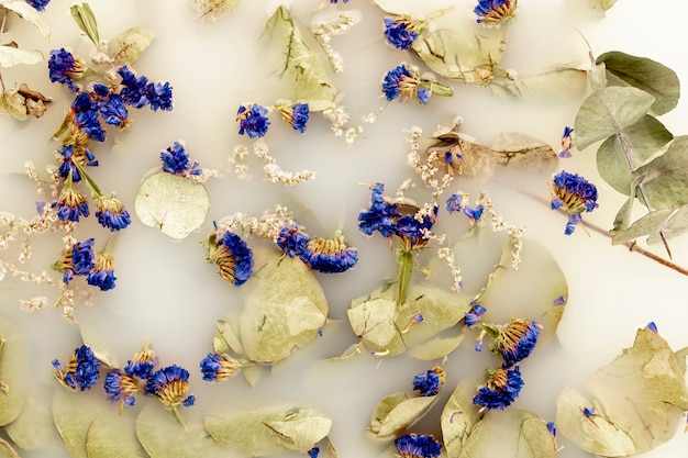 Kostenloses Foto blasse blätter und dunkelblaue blüten im wildwasser