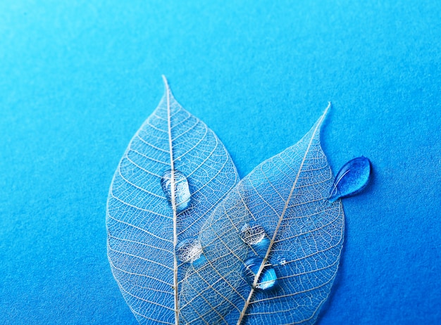 Blatt auf dem Tisch