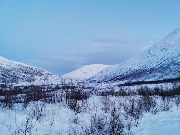 Kostenloses Foto blaue polarnacht in der arktis, norwegen auf der insel kvaloya gefangen