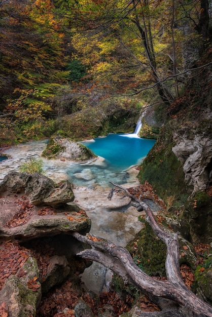 Blauer Fluss im Wald