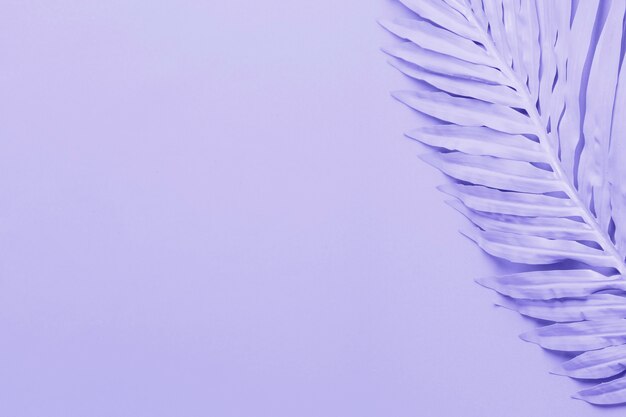 Blauer Hintergrund mit Blatt und copyspace