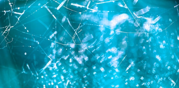 Kostenloses Foto blauer hintergrund mit glänzendem spinnennetz