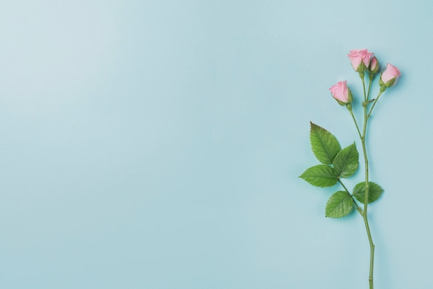 Blauer Hintergrund mit rosa Blüten und leere Platz für Nachrichten