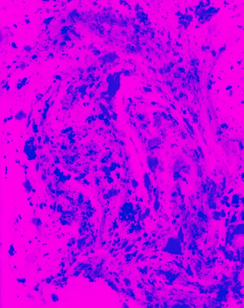 Blaues holi Farbpulver mischte im rosa flüssigen Hintergrund