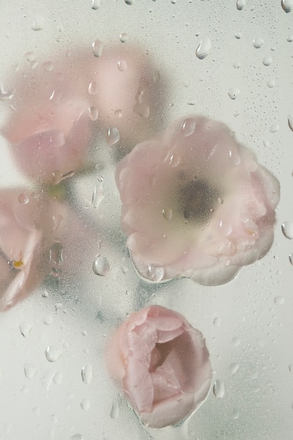 Blick auf Blumen durch kondensiertes Glas mit Wassertropfen