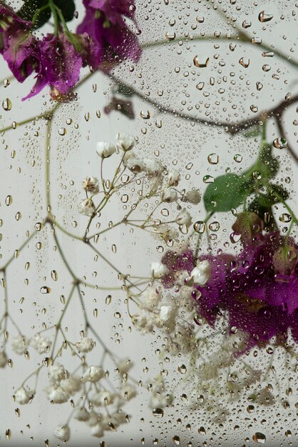 Blick auf Blumen hinter Glas mit Wassertropfen