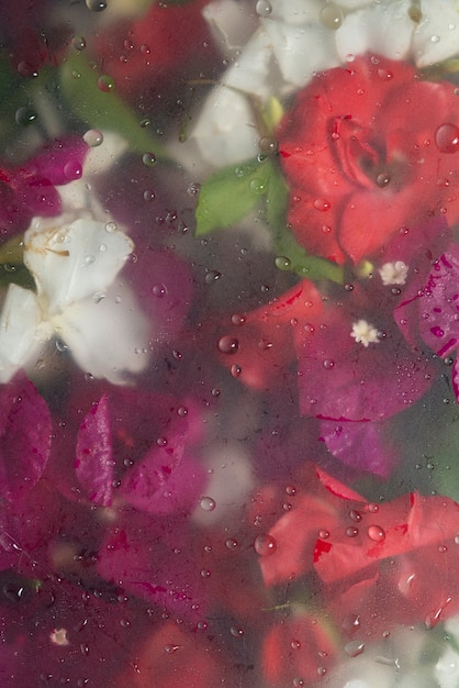 Blick auf Blumen hinter kondensiertem Glas