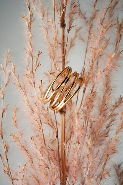 Blick auf den luxuriösen goldenen Ring mit Trockenpflanze