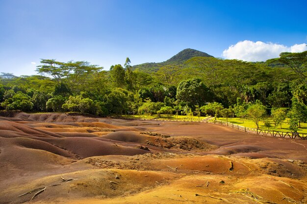 Blick auf die Sanddünen von Seven Coloured Earth, umgeben von Bäumen auf Mauritius
