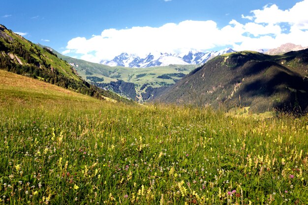 Blick auf die Savoyer Alpen-Europa im Sommer