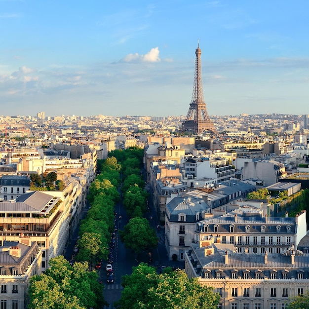 Blick auf die Skyline von Paris auf dem Dach und den Eiffelturm in Frankreich.