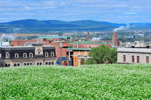 Blick auf die Stadt Quebec am Tag mit grünem Rasen und städtischen Gebäuden